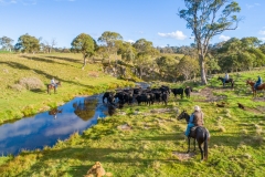 Three Creek Beef